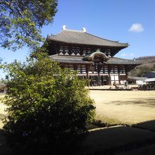 門をくぐって1枚。お寺自体も大きいよ