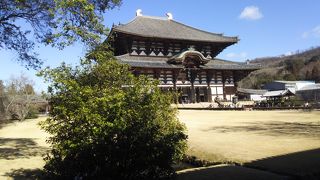 人気スポットなだけに人はたくさん、でも鹿は・・