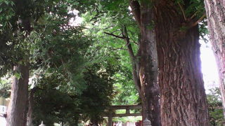 荻窪駅近く、静かな雰囲気でお参りできる穴場の神社