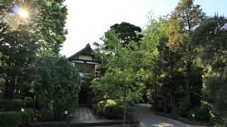 新緑が綺麗でした