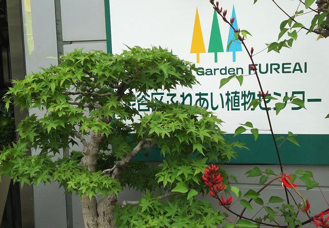 ひっそりとした植物園