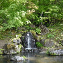 本堂から見た青龍滝