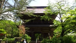 季節の花が楽しめる古刹 （吉祥寺）