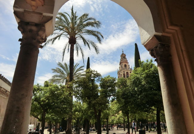 Patio De Los Naranjos クチコミ アクセス 営業時間 コルドバ フォートラベル