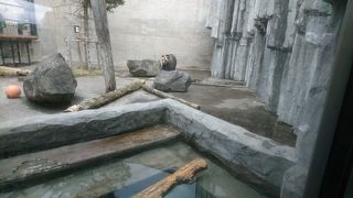 北から南の猛獣が揃う