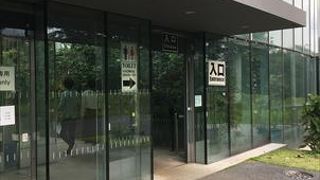 新宿御苑の大温室に行ってきました。