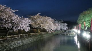 寒河江桜まつりでライトアップされるが…