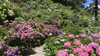 見応えがあります。