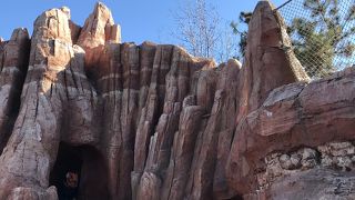 子供が楽しめます