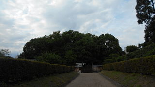 奈良繁華街のど真ん中と意外な立地に驚き。