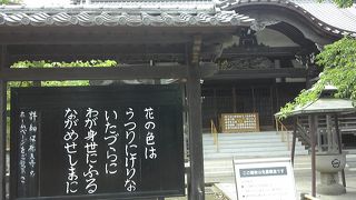 初夏の祐天寺