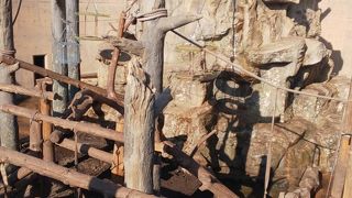 360℃から、さる山を見れます