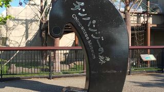 間近で見ると迫力満点