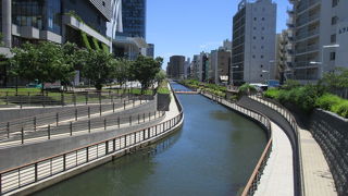 スカイツリーの真下から亀戸まで見ごたえあります