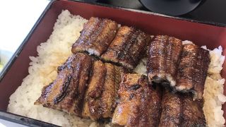 ゼラチン質の多いうなぎ