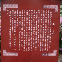 歌詞が違い驚きました By エロシ 東くめ 鳩ぽっぽ歌碑のクチコミ フォートラベル 歌詞が違い驚きました By エロシ 東くめ 鳩ぽっぽ歌碑のクチコミ フォートラベル