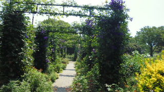 イギリス館前の庭