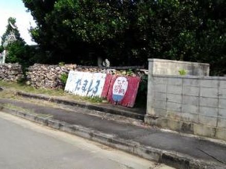 民宿 たましろ 写真