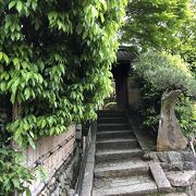 新緑の金福寺