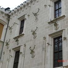 壁には鹿の角が多く飾られていました。