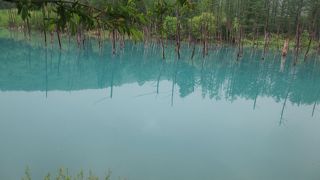 偶然にできた美しい青い池。新しく売店とお手洗いができました。