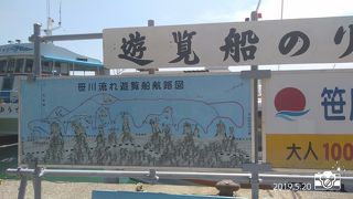 透明度抜群で雄大、カモメにカッパえびせんを…