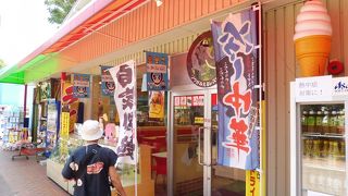 頑張って象を見よう！