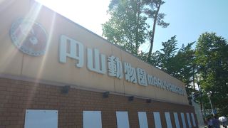 便が悪いのが残念