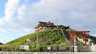 とても多くの海鳥がいて、恐怖すら感じるくらいでした