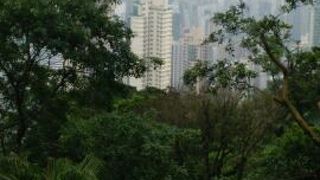 香港いちの絶景スポット