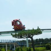 松の木に囲まれた相模湾沿いの広大な公園