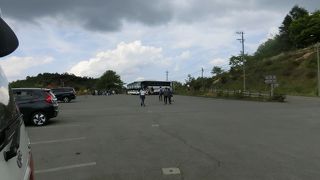 大勢の東京の小学生が登っていた