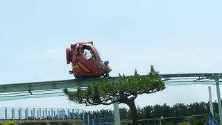 松の木に囲まれた相模湾沿いの広大な公園