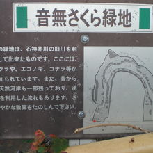 音無さくら緑地は、蛇行した音無川の凹地を活用した緑地の公園