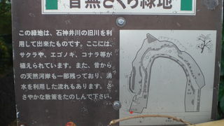 音無さくら緑地は、蛇行していた音無川を、直線化した際、蛇行していた部分を利用した緑地です。