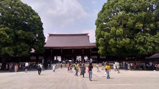 大楠に囲まれた姿が印象的