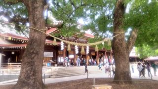 夫婦円満の御神木