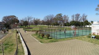 見どころが多い公園