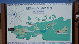 見どころが個性的