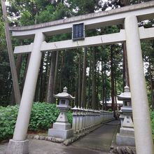 鳥居から続く灯籠？も見事