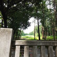 晴れていればここから富士山が見えるそうです。