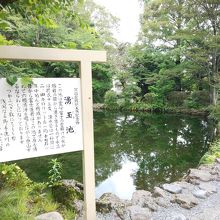 富士山の湧き水の池