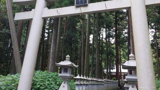 バスツアーで連れていってもらいました