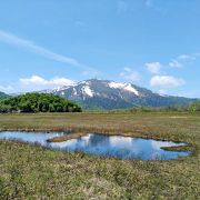 尾瀬ヶ原から至仏山の眺めを楽しむ