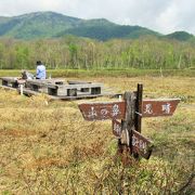 見晴らし良し　竜宮十字路で至仏山・燧ケ岳の景色を楽しむ