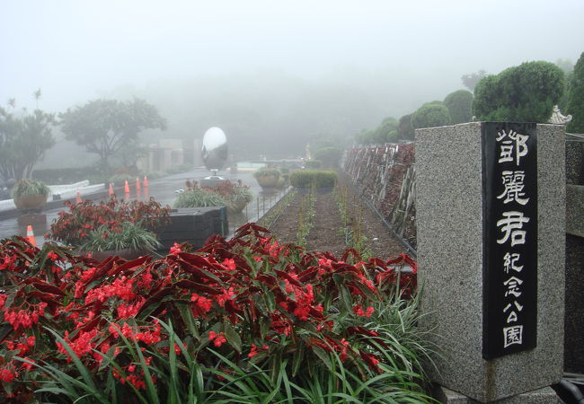 念願のお墓参りに大満足