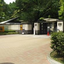 キスリングを見にいざ！