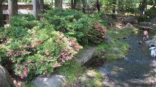 緑が多い公園