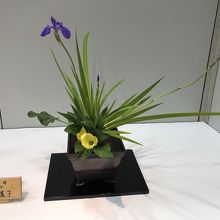 葉の流れが素敵