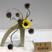 アリアムの流れが素敵